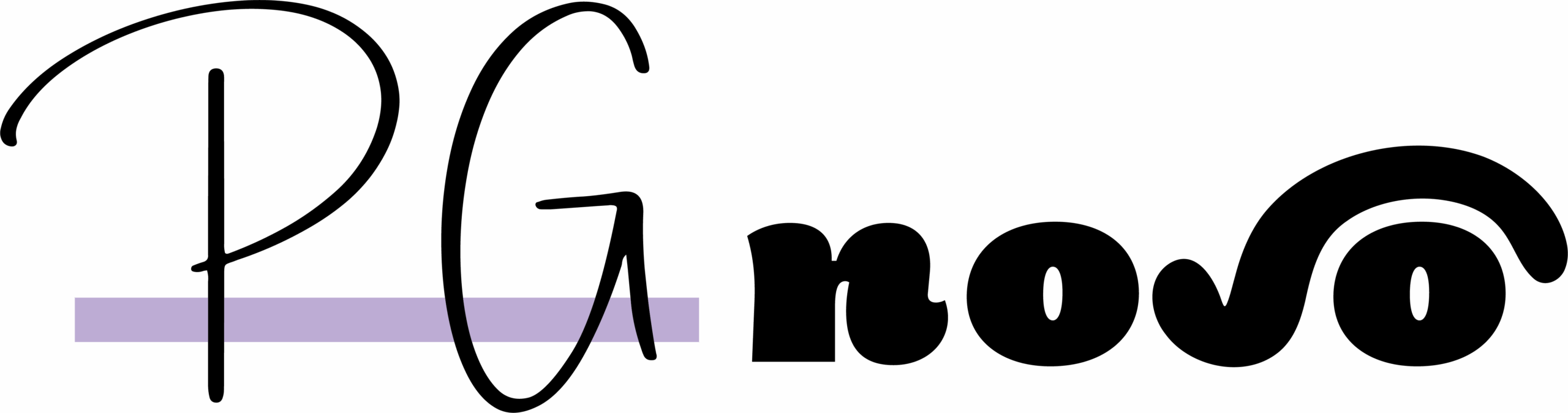 logo der PG novo UG (haftungsbeschränkt) mit schwarzer Schrift